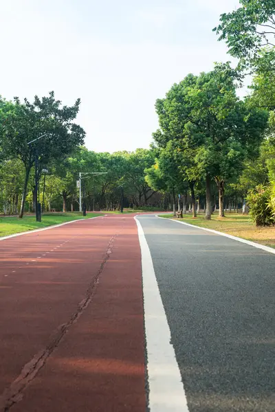 Yeni patika ve güzel ağaçlar parkta koşmak, yürümek ve bisiklete binmek için iz sürüyor. 