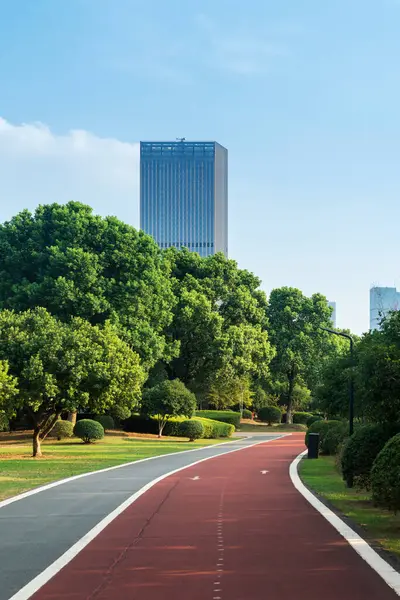 Yeni patika ve güzel ağaçlar parkta koşmak, yürümek ve bisiklete binmek için iz sürüyor. 
