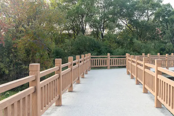 Çin 'deki Şehir Parkı yolu.