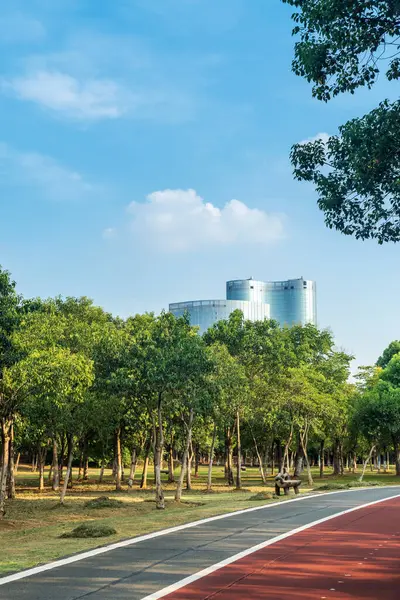 Yeni patika ve güzel ağaçlar parkta koşmak, yürümek ve bisiklete binmek için iz sürüyor. 