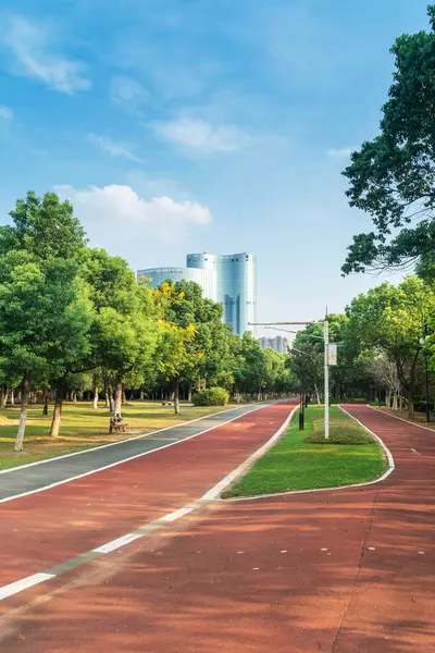 Yeni patika ve güzel ağaçlar parkta koşmak, yürümek ve bisiklete binmek için iz sürüyor. 