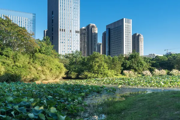Bahar Parkı ve modern şehir