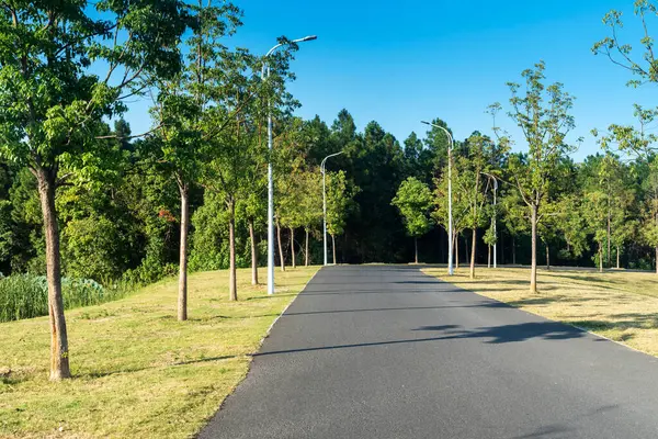 Çin 'deki Şehir Parkı yolu.