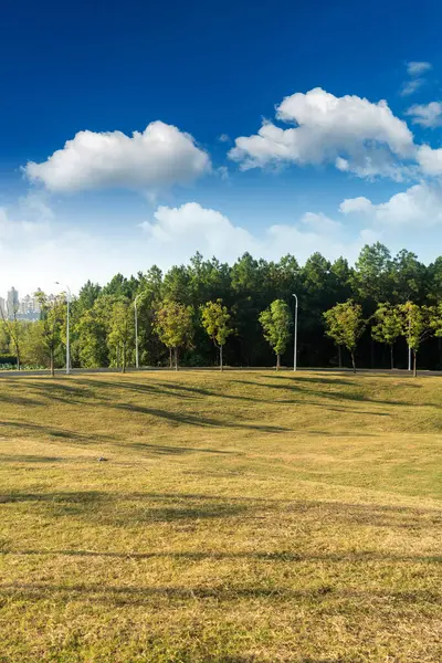 Yeşil şehir parkının güzel manzarası