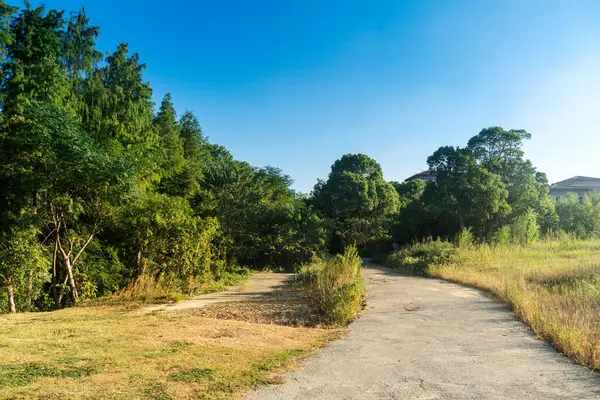 Çin 'deki Şehir Parkı yolu.