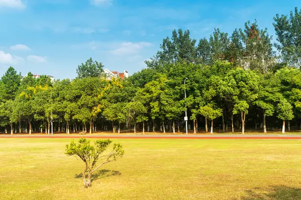 Bahar Parkı ve modern şehir