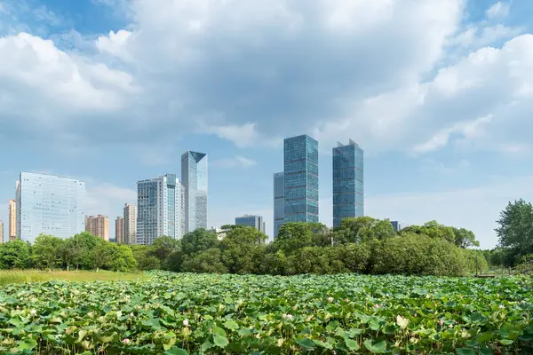 Bahar Parkı ve modern şehir