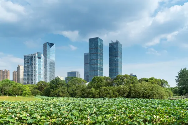 Şangay 'da modern bina geçmişi olan şehir parkı.