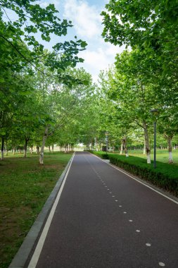 Yeni patika ve güzel ağaçlar parkta koşmak, yürümek ve bisiklete binmek için iz sürüyor. 