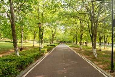 Yeni patika ve güzel ağaçlar parkta koşmak, yürümek ve bisiklete binmek için iz sürüyor. 