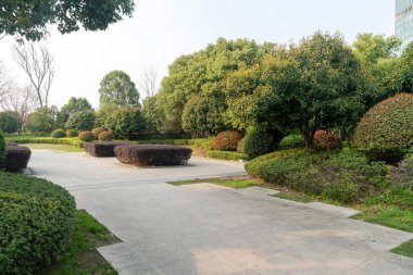 Modern şehirde yürüyüş yolu