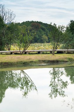 Parktaki göletin çevresi yemyeşil