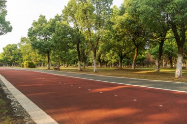 Yeni patika ve güzel ağaçlar parkta koşmak, yürümek ve bisiklete binmek için iz sürüyor. 