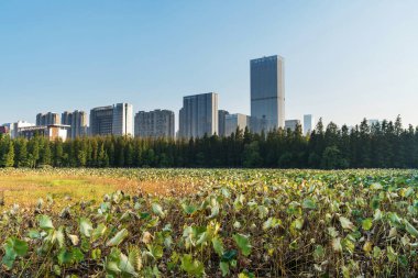 Şangay 'da modern bina geçmişi olan şehir parkı.