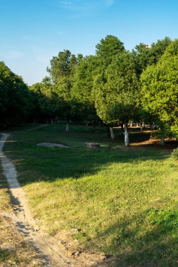 Çin 'deki Şehir Parkı yolu.