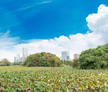 Şangay 'da modern bina geçmişi olan şehir parkı.