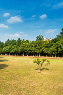 Yeşil şehir parkının güzel manzarası