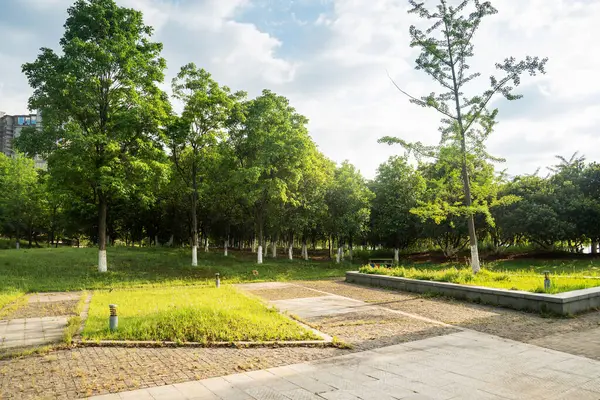 Modern şehirde yürüyüş yolu