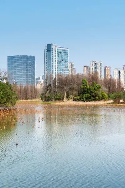 Çin 'deki Lakeside modern ofis binası