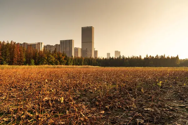 Gündoğumunda modern şehir, Nanchang ufuk çizgisi.