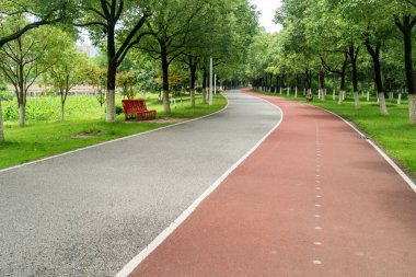 Yeni patika ve güzel ağaçlar parkta koşmak, yürümek ve bisiklete binmek için iz sürüyor. 