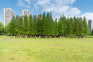 Şangay 'da modern bina geçmişi olan şehir parkı.
