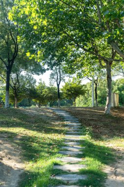 Çin 'deki Şehir Parkı yolu.