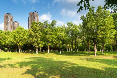Şangay 'da modern bina geçmişi olan şehir parkı.