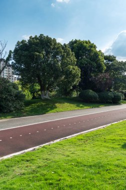 Yeni patika ve güzel ağaçlar parkta koşmak, yürümek ve bisiklete binmek için iz sürüyor. 