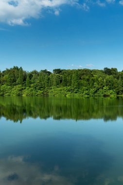 Parktaki göletin çevresi yemyeşil