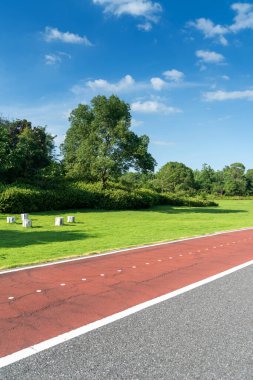 Yeni patika ve güzel ağaçlar parkta koşmak, yürümek ve bisiklete binmek için iz sürüyor. 
