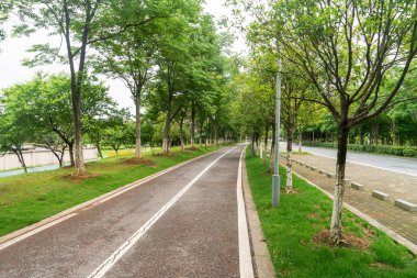 Modern şehirde yürüyüş yolu