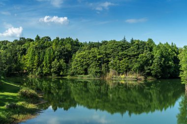 Parktaki göletin çevresi yemyeşil