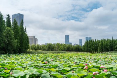 Çin 'deki Lakeside modern ofis binası