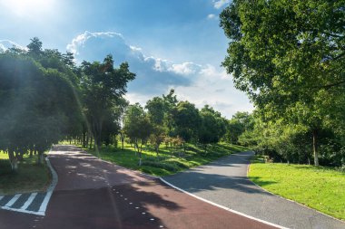 Çin 'deki Şehir Parkı yolu.