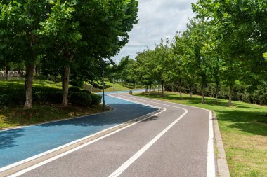 Yeni patika ve güzel ağaçlar parkta koşmak, yürümek ve bisiklete binmek için iz sürüyor. 