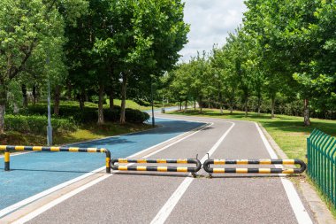 Yeni patika ve güzel ağaçlar parkta koşmak, yürümek ve bisiklete binmek için iz sürüyor. 