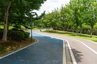 Yeni patika ve güzel ağaçlar parkta koşmak, yürümek ve bisiklete binmek için iz sürüyor. 