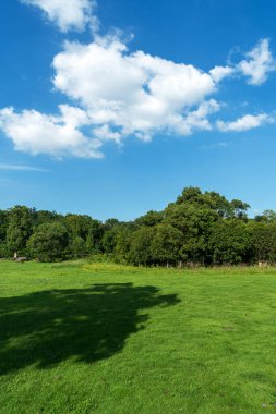 Yeşil şehir parkının güzel manzarası
