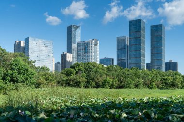 Şangay 'da modern bina geçmişi olan şehir parkı.