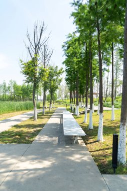 Bahar Parkı ve modern şehir