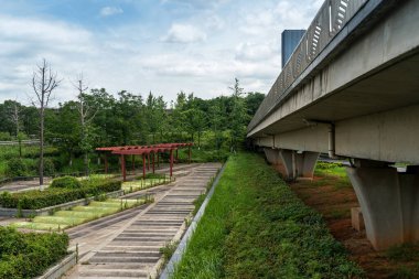 Bahar Parkı ve modern şehir