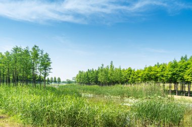 Bahar Parkı ve modern şehir