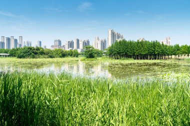 Bahar Parkı ve modern şehir