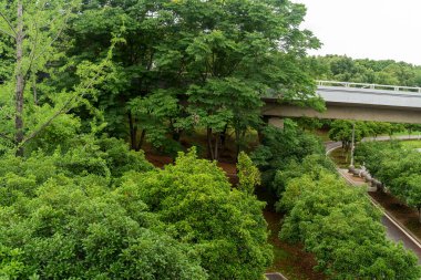 Şehirdeki üst geçidin altında beton yapı ve asfalt yol alanı