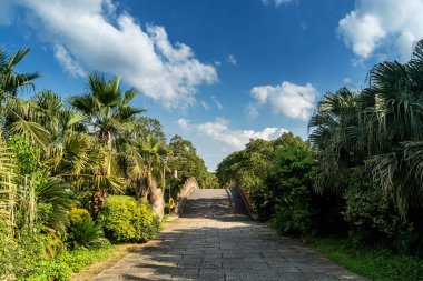 Asya bahçesinde taş köprü