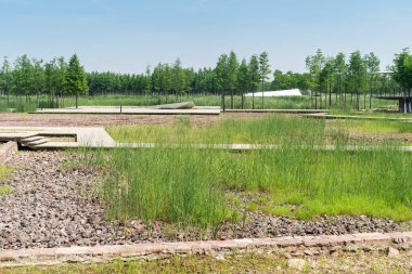 Bahar Parkı ve modern şehir