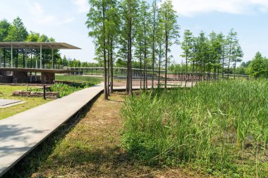 Bahar Parkı ve modern şehir