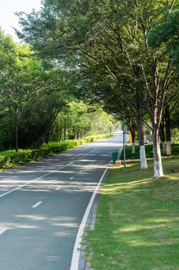 Yeni patika ve güzel ağaçlar parkta koşmak, yürümek ve bisiklete binmek için iz sürüyor. 