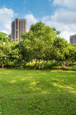 Şangay 'da modern bina geçmişi olan şehir parkı.